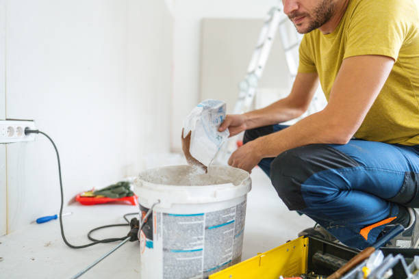 Best Dehumidification Services  in Spring Valley Lake, CA