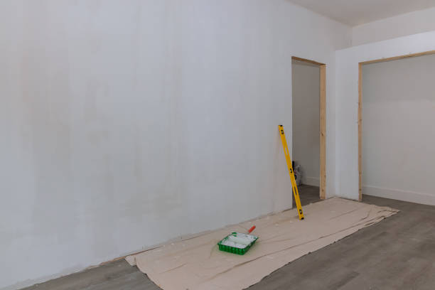 Professional Mold Removal in Spring Valley Lake, CA